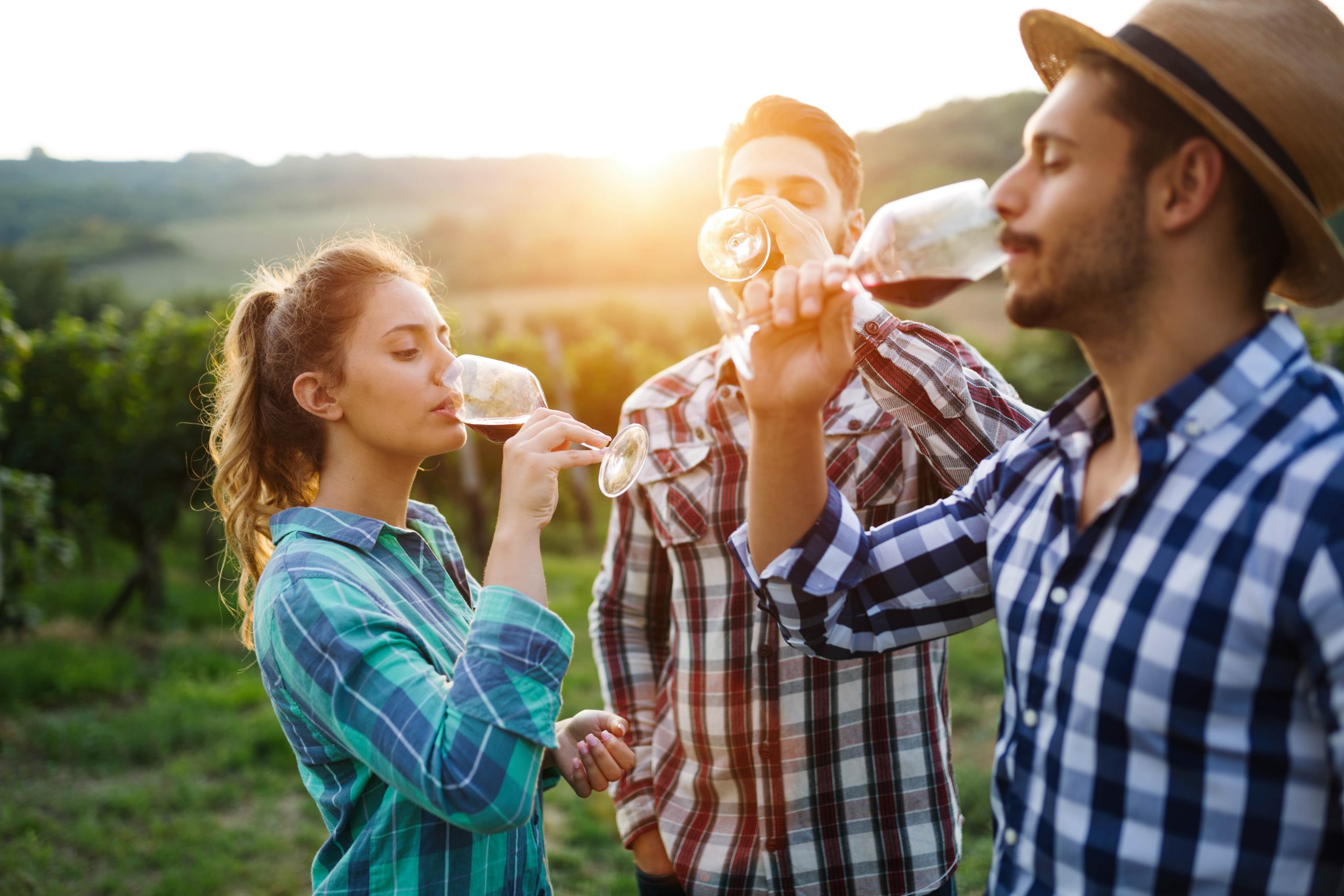 young people sipping wine at a vineyard