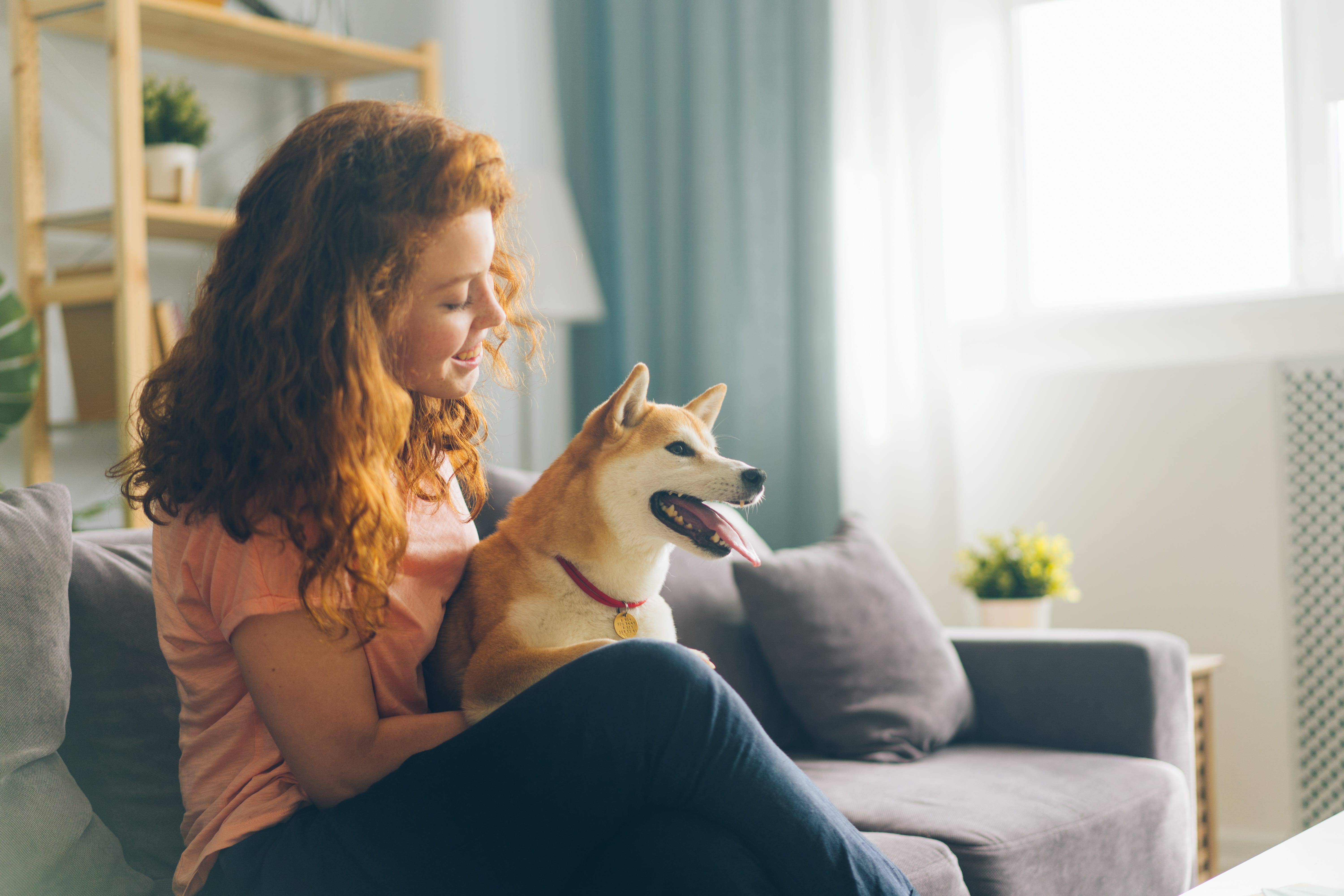 blog image of a woman with her dog in an apartment; blog title: Making Your Apartment Pet Friendly