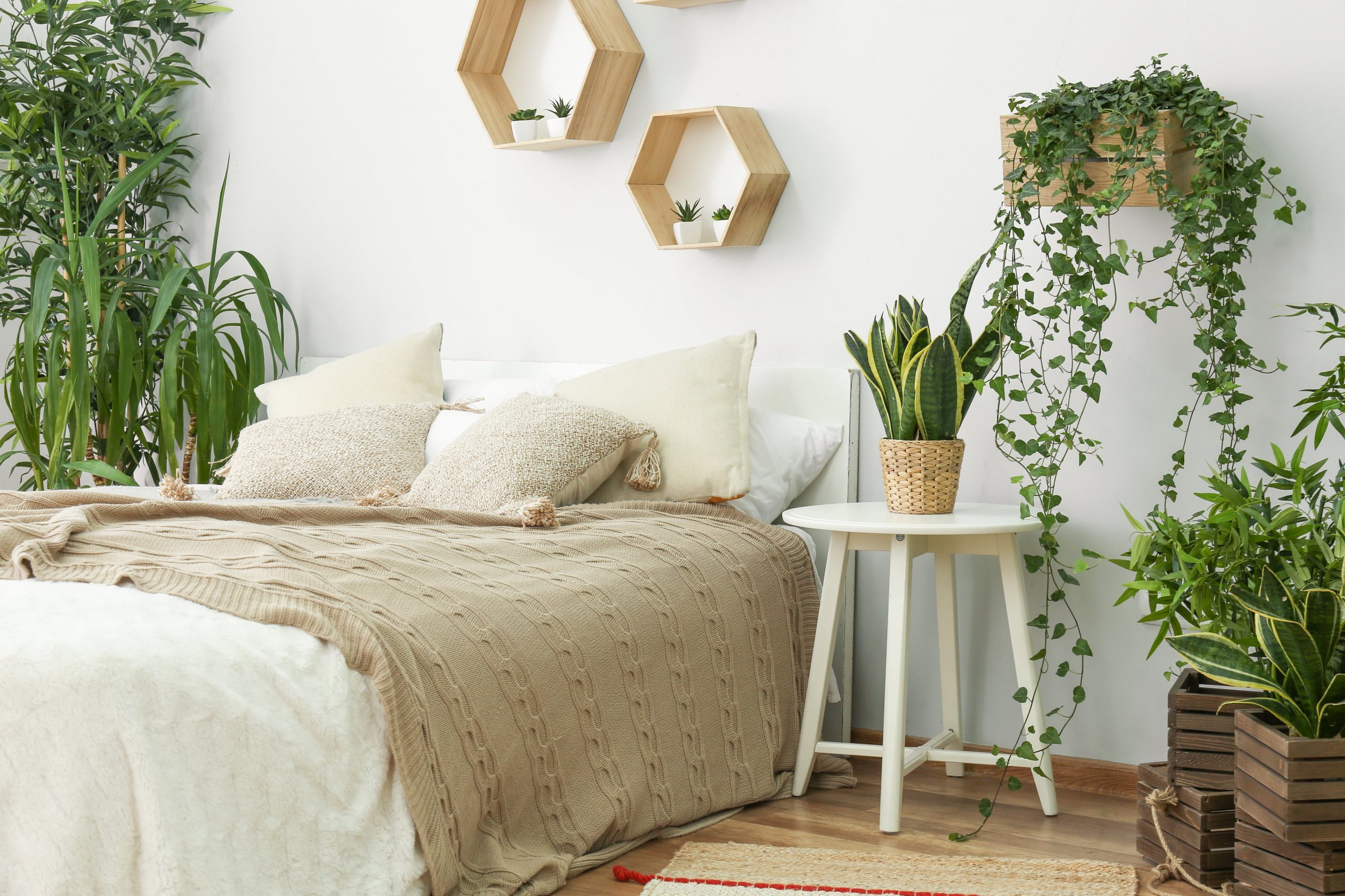 blog image of plant filled apartment